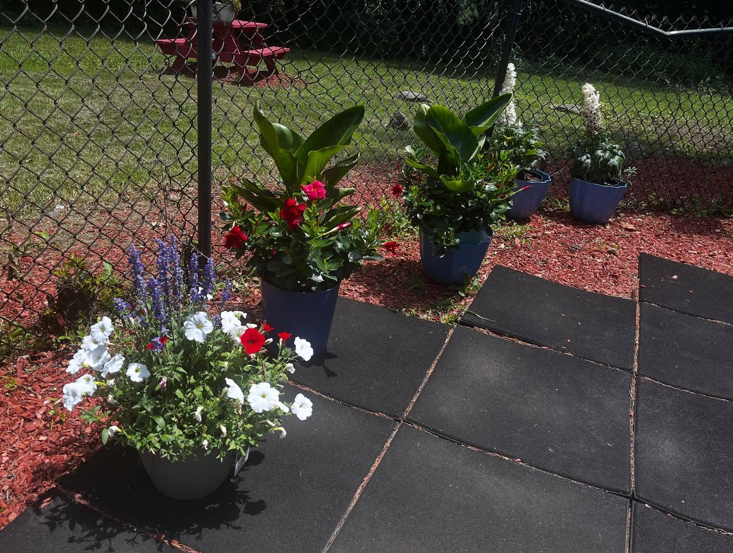 514983085_17984264561832177_5947361513364939909_n