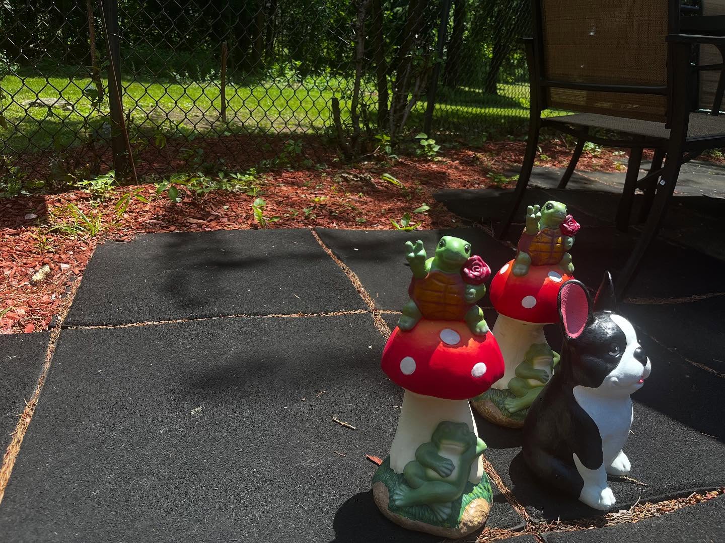 515772746_17984264570832177_933971903660768492_n